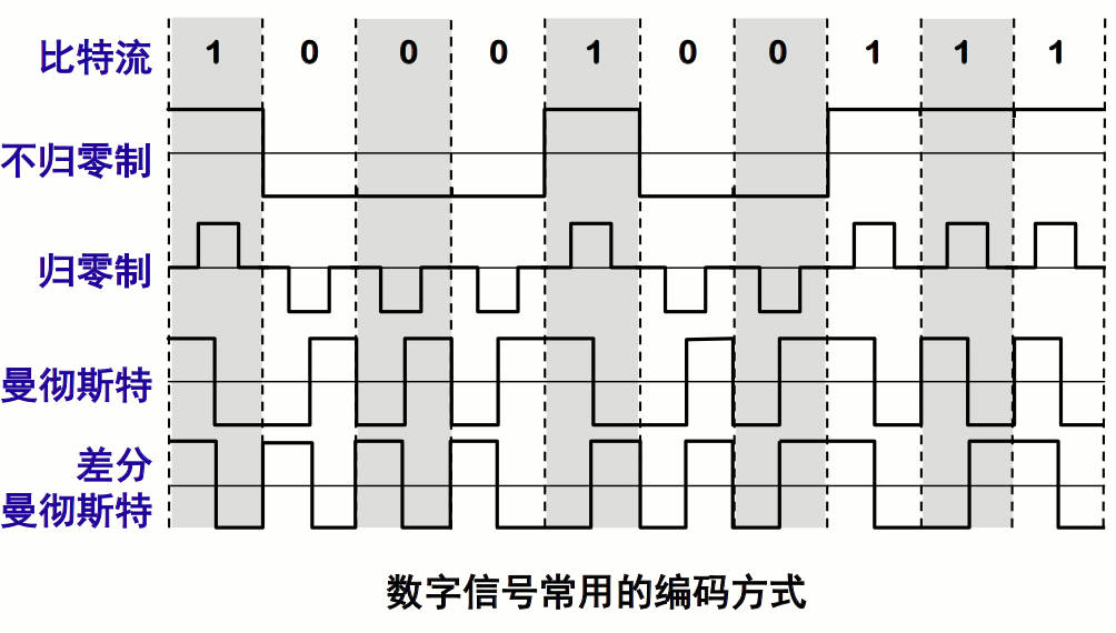 常用编码方式