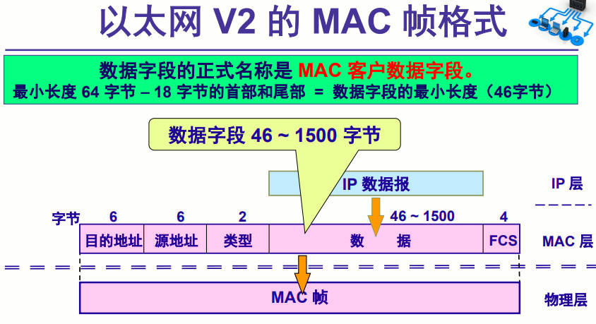 数据字段